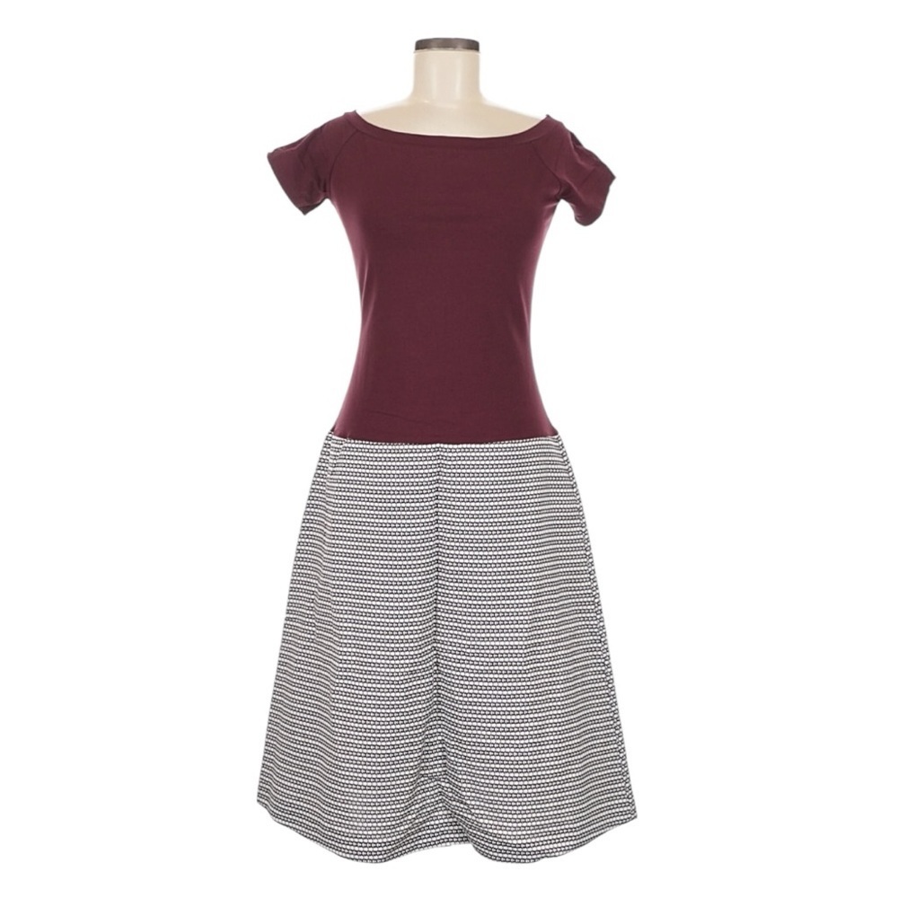 NWT! Laviniaturra Made in Italy Cotton Dress. Size EU 46/US 12.